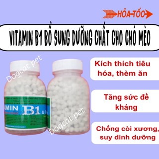 Vitamin B1 (1200 viên) Hỗ Trợ Tiêu Hoá, Kích Thích Ăn Ngon, Tăng Cân, Chống Biếng Ăn Cho Chó Mèo, Gia Súc