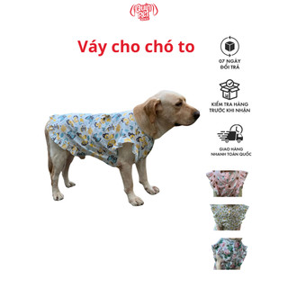 Quin pet váy cho chó to từ 12-40kg, áo cho chó to