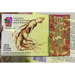 NHÂN SÂM HỒI SINH TÁI TẠO HOÀN HỖ TRỢ XƯƠNG KHỚP MALAYSIA CHÍNH HÃNG