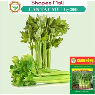  - Hạt Giống Cần Tây Mỹ Cần Tây Bẹ To Chuyên Ép Nước, Dễ Trồng, Dễ Chăm Sóc - Hạt Giống CANH NÔNG