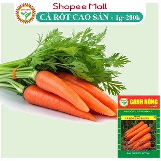  Hạt Giống Cà Rốt Củ To, Dài, Sinh Trưởng Khỏe, Trồng Quanh Năm (Gói 1gr~200h) - Hạt Giống CANH NÔNG