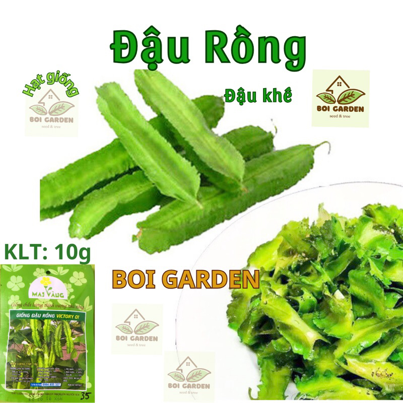 Hạt giống Đậu Rồng / đậu khế (35)