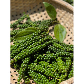  1kg tiêu xanh Silanca  hữu cơ Daklak Chuyện của Đức 