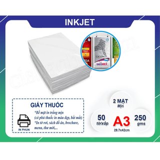 GIẤY THUỐC  A3 ĐỊNH LƯỢNG 250GM( IN 2 MẶT)