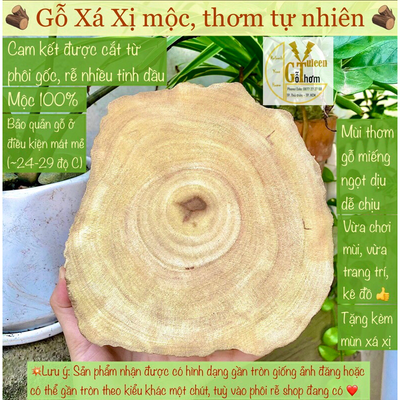 Gỗ xá xị thơm, gỗ mộc, dăm bào mùn gỗ khử mùi, hàng rễ nhiều tinh dầu, gỗ mếng trưng bày trang trí