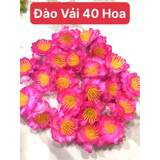Hoa mai vải - hoa đào vải bịch 40 hoa