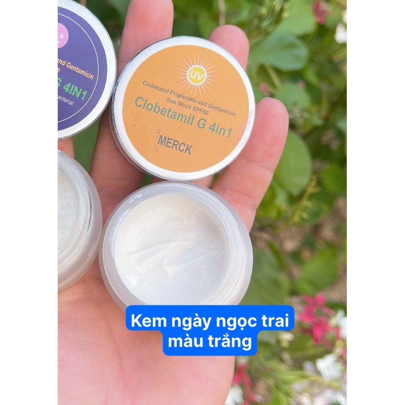 BỘ NÁM THÁI CAO CẤP