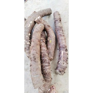 Bạc hà núi 5kg