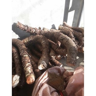 Bạc hà núi 5kg