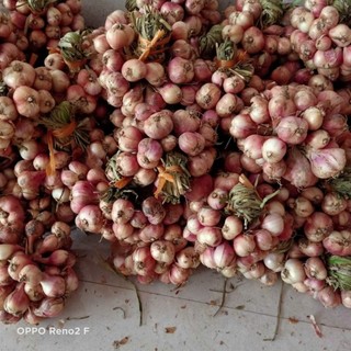 Hành Hải Dương 1kg