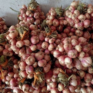 Hành Hải Dương 1kg