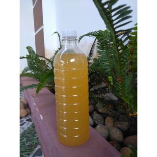 1l dịch chuối siêu kali bón cây bón hoa hồng hoa lan cây ăn trái