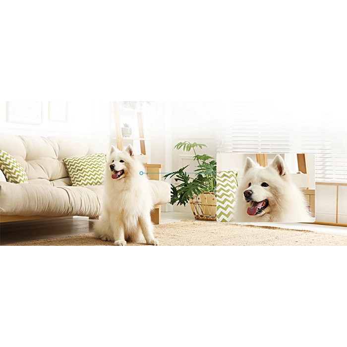 Camera giám sát XM IMILAB C22 CMSXJ60A 3K