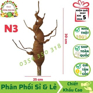 Gốc cây bonsai giả - loại n3 cao 30 cm - gốc cây giả làm hoa handmade