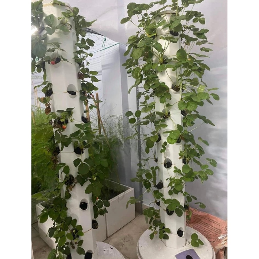 Trụ Trồng Rau, Tháp Trồng Rau Thủy Canh Cao Cấp