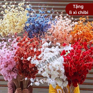 Combo 10 Cành Đào Giả Cành Đào Râu 1m Trang Trí Tết Cực Đẹp Có Nhiều Màu Khác Nhau