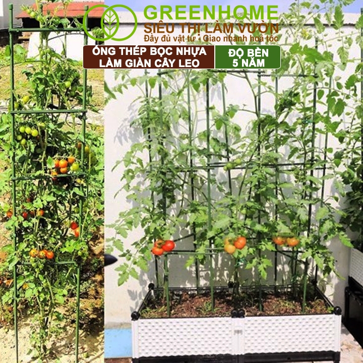 5 Ống Thép Bọc Nhựa Greenhome, Daim, Nhật Bản, D180cm, Làm Khung Hoa Hồng Leo, Giàn Leo Bầu, Bí, Mướp, Độ Bền 5 Năm