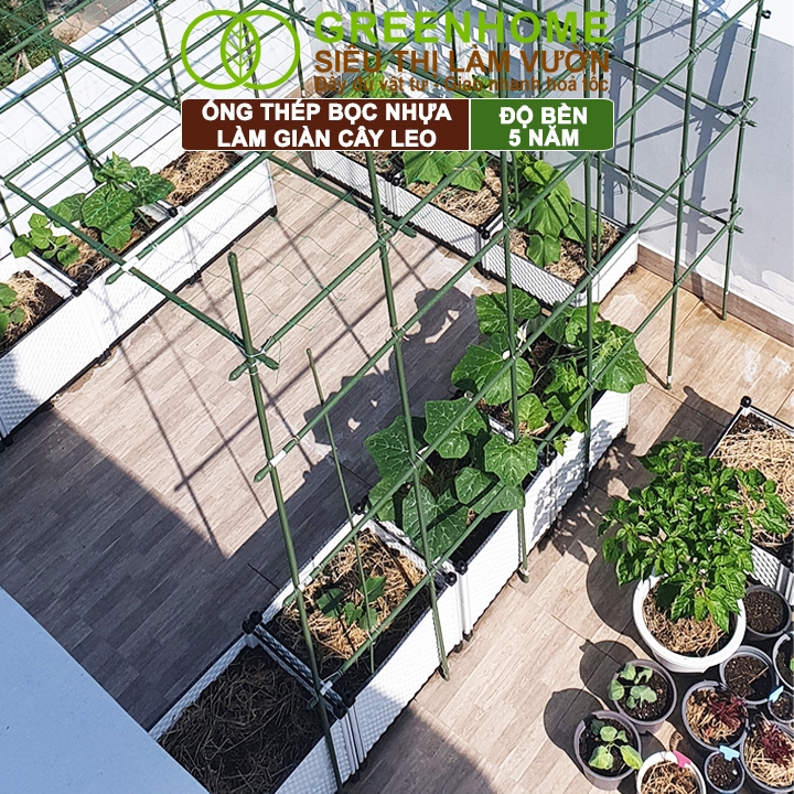 5 Ống Thép Bọc Nhựa Greenhome, Daim, Nhật Bản, D180cm, Làm Khung Hoa Hồng Leo, Giàn Leo Bầu, Bí, Mướp, Độ Bền 5 Năm