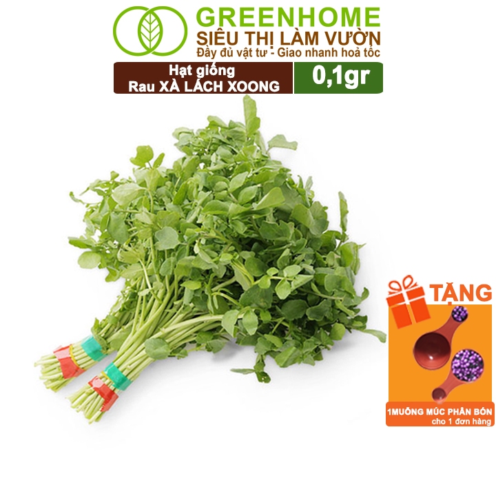 Hạt Giống Rau Xà Lách Xoong Greenhome, Gói 0.1g, Dễ Trồng Quanh Năm, Độ Nảy Mầm Cao, Thu Hoạch Nhanh, Năng Suất Cao R01