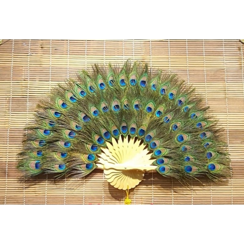 Quạt lông công phong thủy 80cm