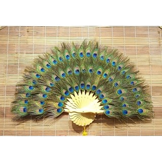 Quạt lông công phong thủy 80cm