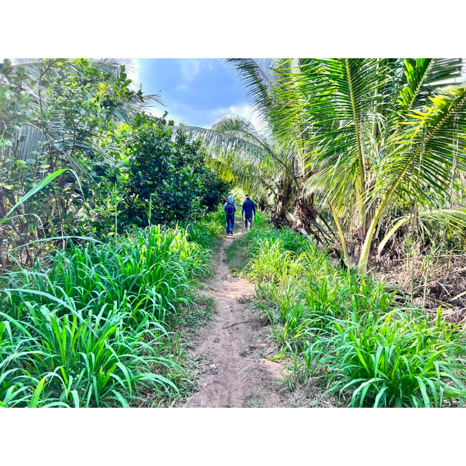 GIẤM MẬT HOA DỪA - ĐẶC SẢN TRÀ VINH 180G  COCONUT FLOWER VINEGAR