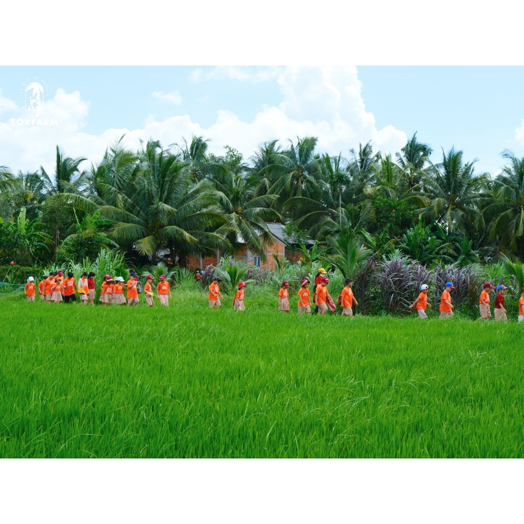 GIẤM MẬT HOA DỪA - ĐẶC SẢN TRÀ VINH 180G  COCONUT FLOWER VINEGAR