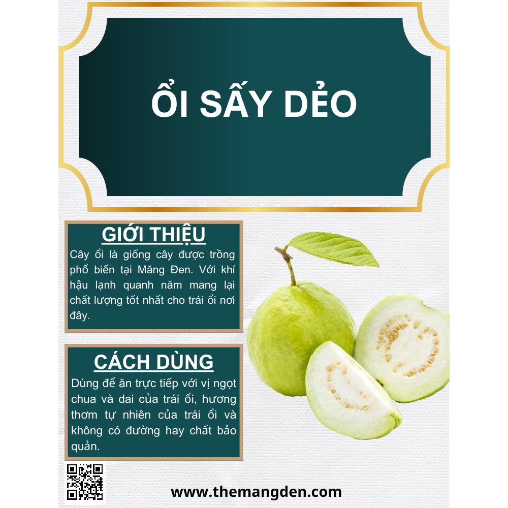 Ổi Sấy Dẻo Không Đường The Măng Đen 250g Đặc Sản Măng Đen Kon Tum