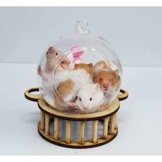 Nhà ngủ thủy tinh lớn cho Hamster Bear