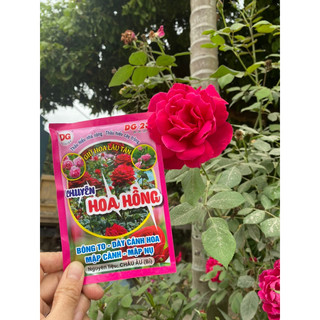 Phân bón siêu dưỡng bông kích ra hoa tạo mầm dưỡng nụ bông to hết cỡ mập nụ gói 40gr