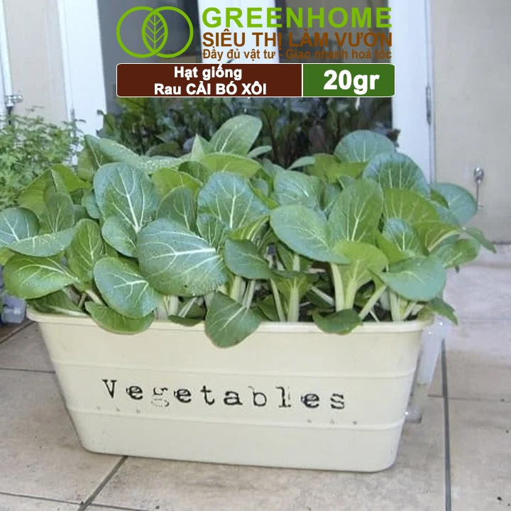Hạt Giống Rau Cải Thìa Greenhome, Gói 20g, Dễ Trồng Quanh Năm, Nảy Mầm Cao, Thu Hoạch Nhanh, Năng Suất Cao R08