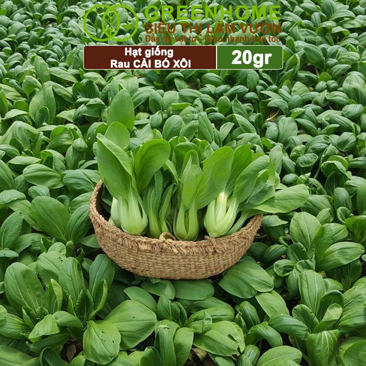 Hạt Giống Rau Cải Thìa Greenhome, Gói 20g, Dễ Trồng Quanh Năm, Nảy Mầm Cao, Thu Hoạch Nhanh, Năng Suất Cao R08