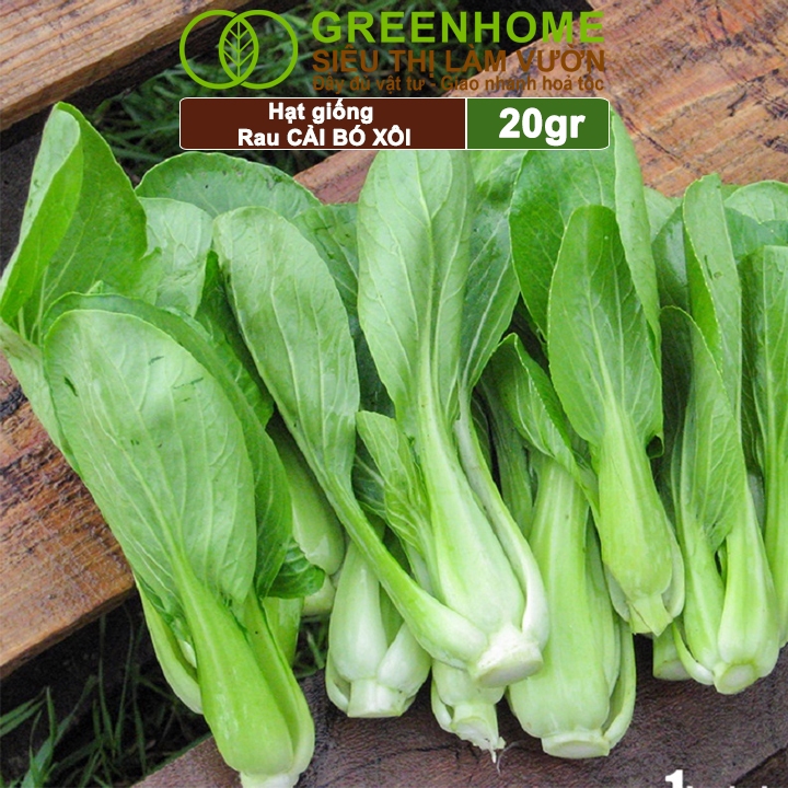 Hạt Giống Rau Cải Thìa Greenhome, Gói 20g, Dễ Trồng Quanh Năm, Nảy Mầm Cao, Thu Hoạch Nhanh, Năng Suất Cao R08