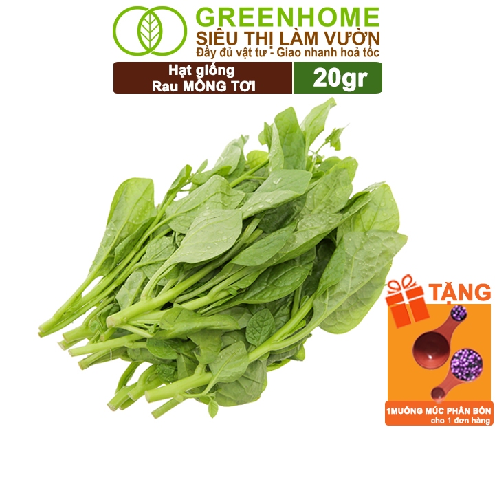 Hạt Giống Rau Mồng Tơi Greenhome, Gói 20g, Dễ Trồng Quanh Năm, Nảy Mầm Cao, Thu Hoạch Nhanh, Năng Suất Cao R11