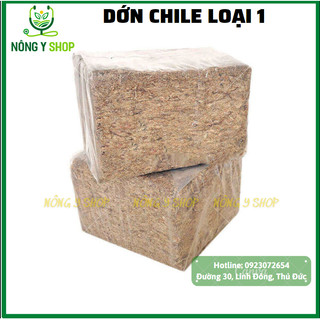 Túi chiết lẻ 100g, Dớn Trắng Chile loại 1 Chuyên dùng  trồng lan, giá thể cho các loại cây trồng khác, giữ ẩm, kiểng lá