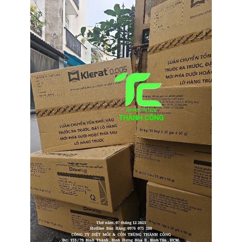 Combo 5 gói Thuốc diệt chuột Klerat_ Syngenta ra sáng chết