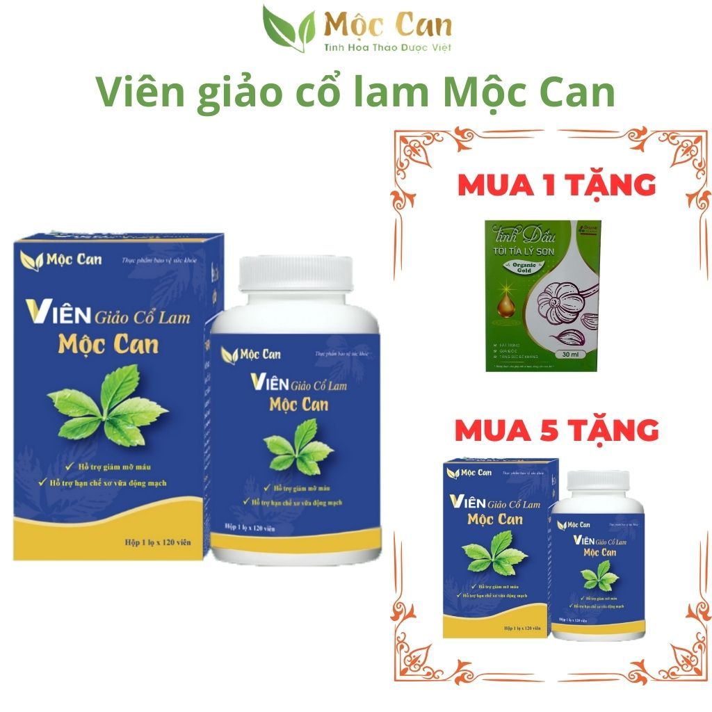 Viên uống giảo cổ lam Mộc Can hạ huyết áp, giảm mỡ máu cholesterol ngăn ngừa các bệnh tim mạch