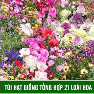 Tổng hợp 21 loại hạt giống hoa dễ trồng trong 1 gói