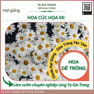 Hạt giống hoa cúc họa mi