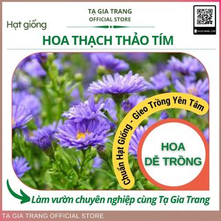 Hạt giống thạch thảo tím