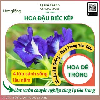 Hạt giống hoa đậu biếc kép
