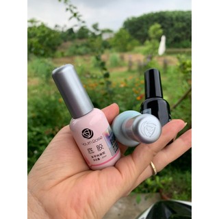 Base, Top, Cứng móng Hoa Hồng lọ 15ml
