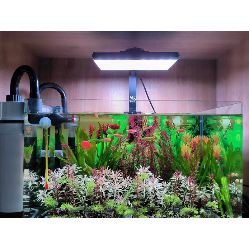 Đèn Thuỷ Sinh - SNanoPlus RGB.