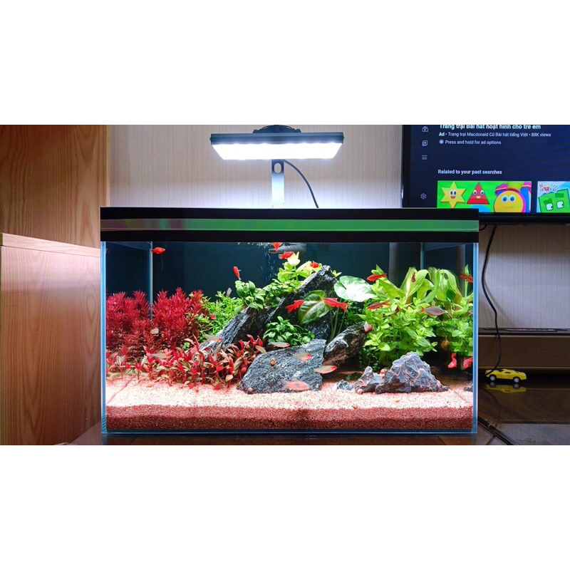 Đèn Thuỷ Sinh - SNanoPlus RGB.