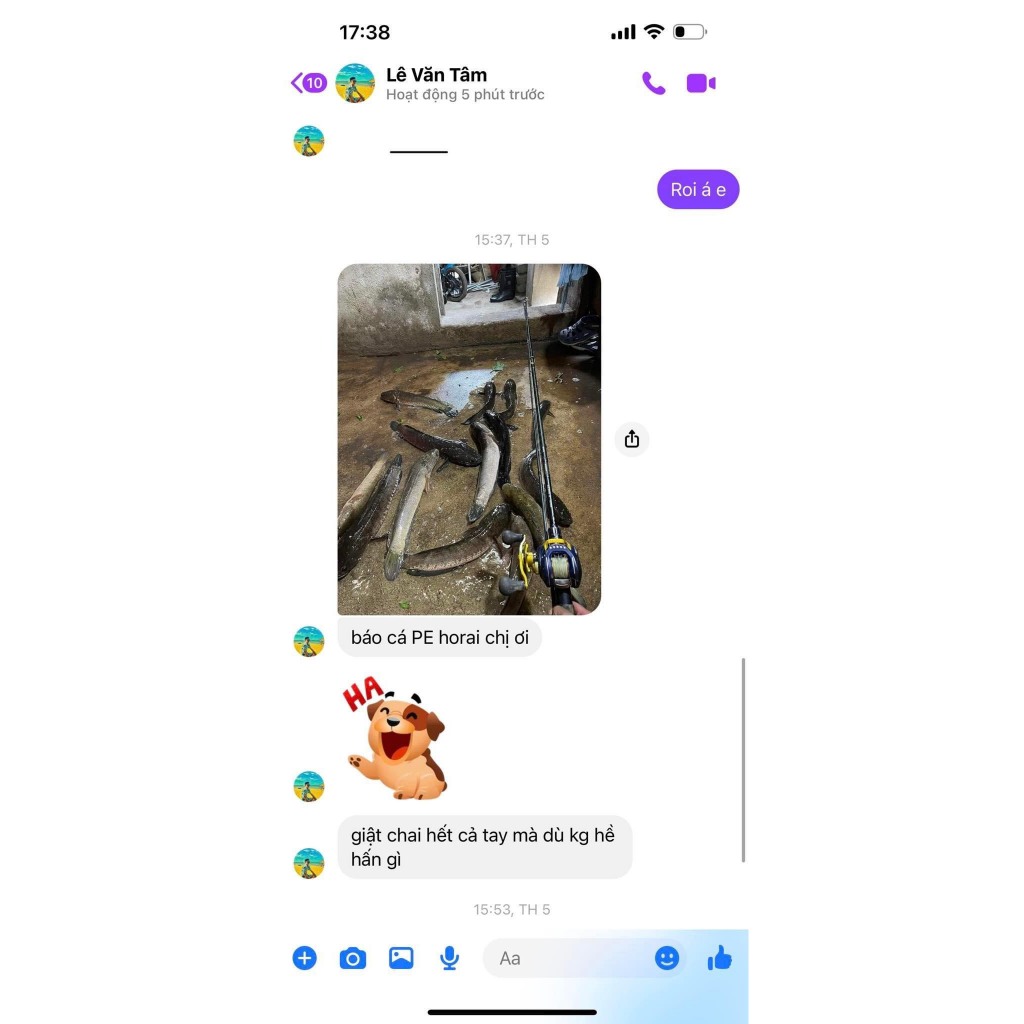 Dây PE HORAI câu lure, cuộn 100m siêu bền.