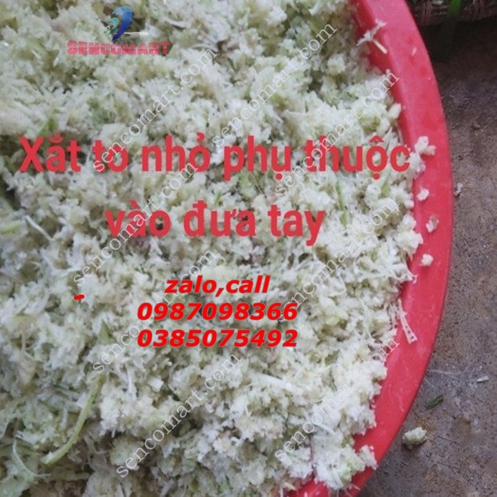 Máy Băm Chuối Nguyên Cây.Máy Xay Chuối Mịn Trộn Cám Cho Gà Vịt