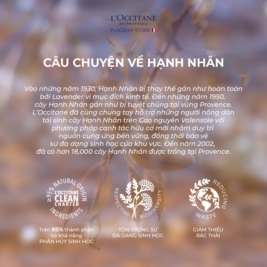 Bộ Dầu Gội & Dầu Xả L'Occitane Hạnh Nhân Almond 240ml