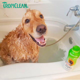 Sữa tắm Tropiclean USA chiết 100ml Chó Mèo