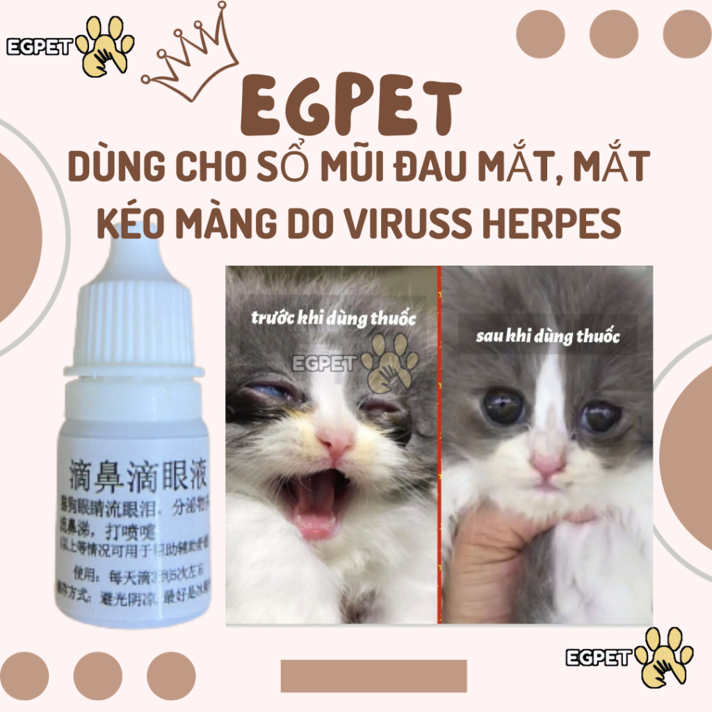 Nhỏ mắt, nhỏ mũi cho chó mèo thần thánh viêm mí mắt, chảy nước mắt, hắt hơi, sổ mũi, ho có đờm