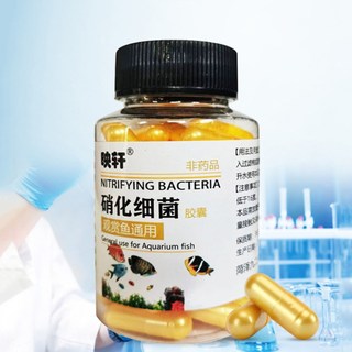 Vi Khuẩn Nitrat Hóa Cho Bể Cá Cảnh , Bể Thủy Sinh